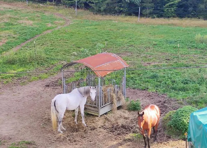 דירה Helga's Candy Ranch Lindberg